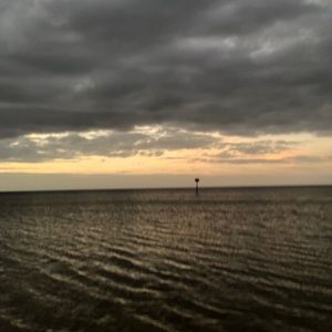 Meet your Posher, Ally